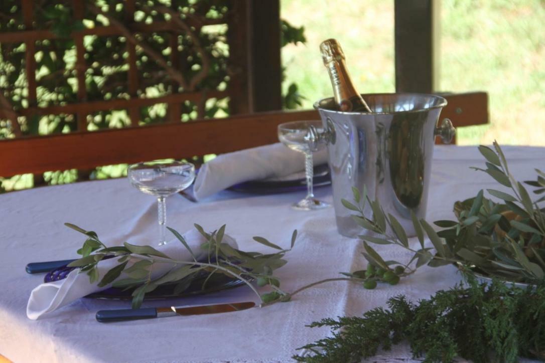 Premantura Olive Garden Βίλα Εξωτερικό φωτογραφία