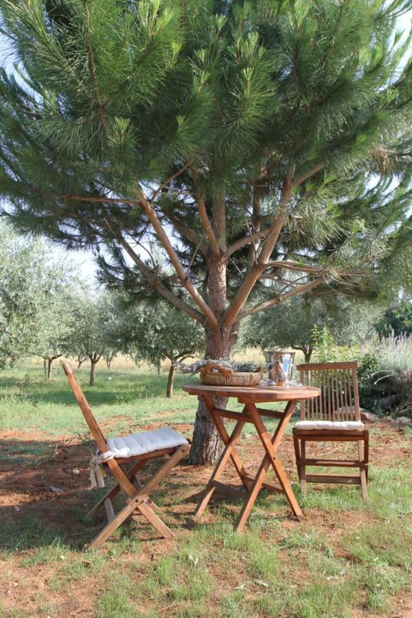 Premantura Olive Garden Βίλα Εξωτερικό φωτογραφία